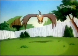 تام و جری (فصل10-قسمت22)